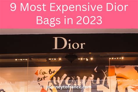 dior haute price|most expensive dior bag.